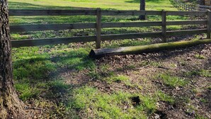 A grassy field with a wooden fence and trees.