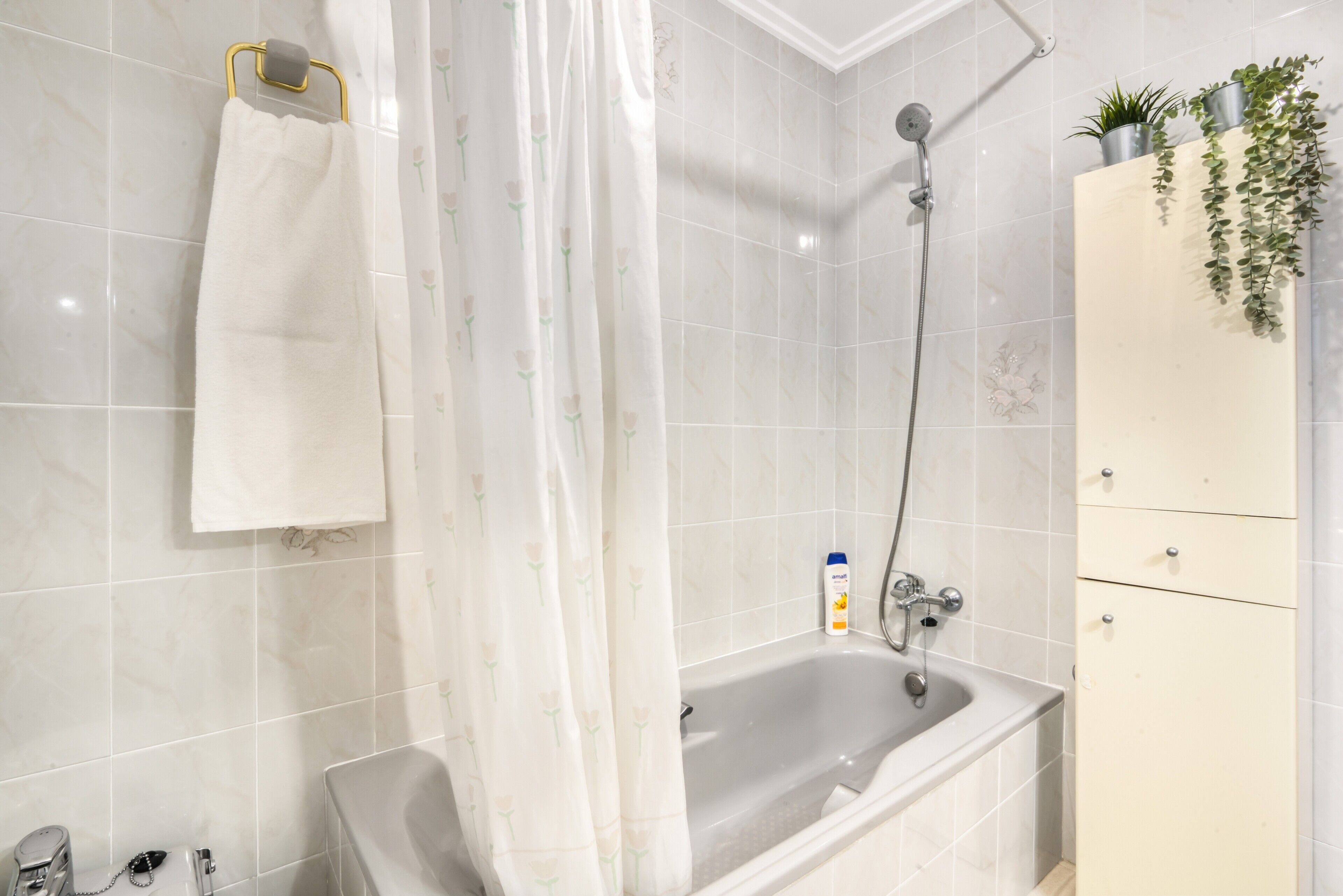 Ein Badezimmer mit Badewanne, Dusche und einem Schrank mit Pflanzen.
