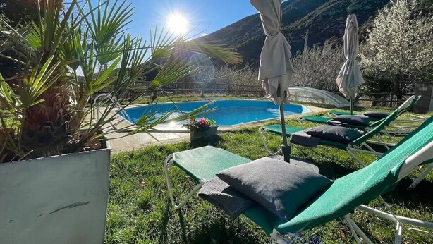 A poolside area with lounge chairs and umbrellas, surrounded by greenery and a mountain backdrop.