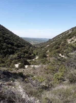 Un paysage montagneux, caractérisé par une végétation luxuriante et une vallée.