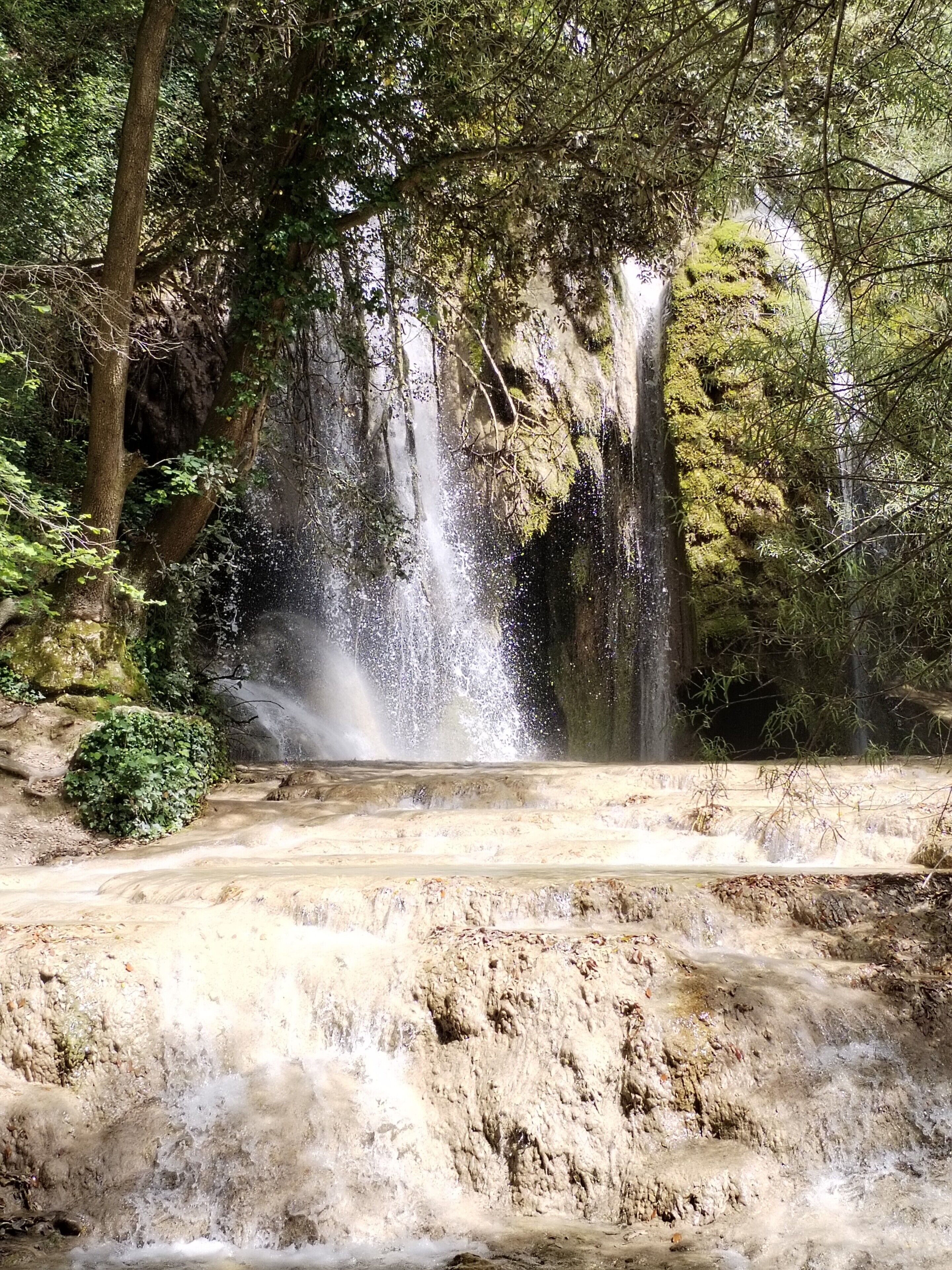 Una cascada en zona boscosa, con primer plano rocoso y vegetación densa.