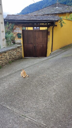 Property grounds - Holiday Home 'Casa Bartolin' with Private Terrace and Garden (Gedrez)