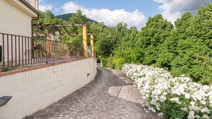 Ein gepflasterter Weg führt zu einem Gebäude mit einem Metallzaun und einer weißen Mauer.
