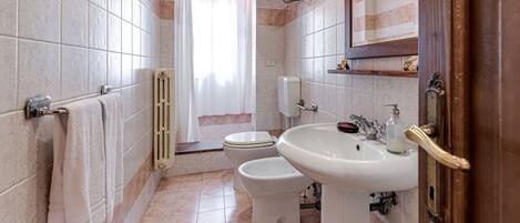 Un bagno con il water, lavandino e zona doccia.