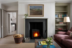 Televisión, chimenea y libros 