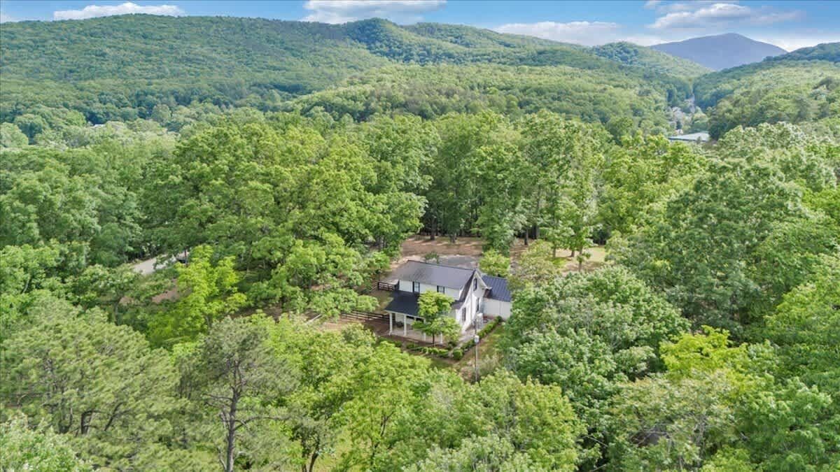 Ein Haus, umgeben von dichtem Wald, mit einem Berg im Hintergrund.