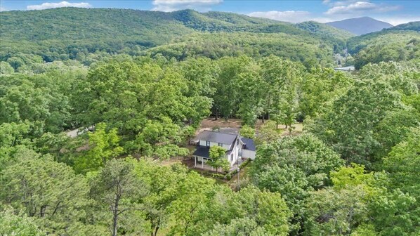 A house surrounded by dense forest with a mountain in the background.