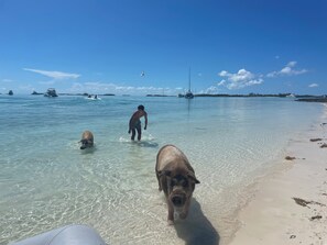 Strand