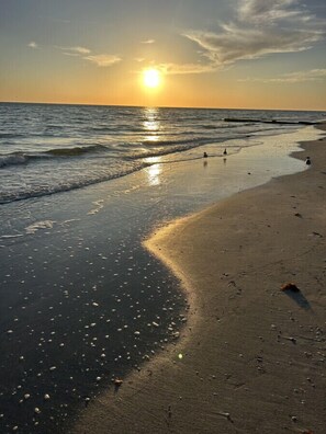 Playa en los alrededores 