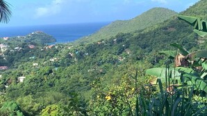 Miscellaneous - Cozy 2 bedroom tropical apartment  (Castries)
