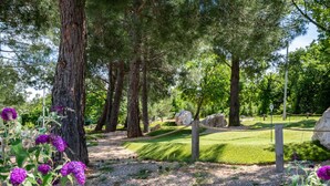 A park with a gravel path, large trees, and purple flowers.