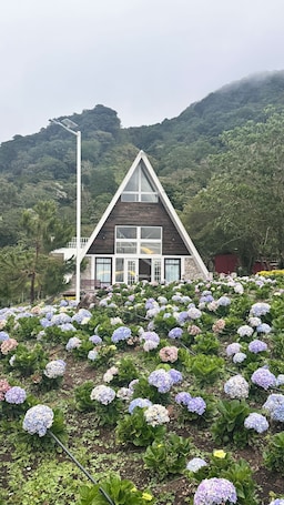 Enceinte de l’hébergement. Mil flores de Palsila es una cabaña de montaña con temperaturas de 18-24 grados.