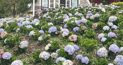 Mil flores de Palsila es una cabaña de montaña con temperaturas de 18-24 grados.
