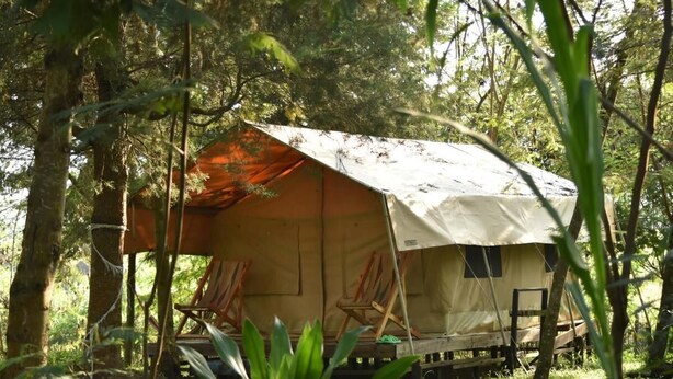 A tent with a canvas roof and wooden frame, surrounded by trees and greenery. - Room in B&B - Red Rocks Rwanda - Safari Tent Twin (Nkotsi)