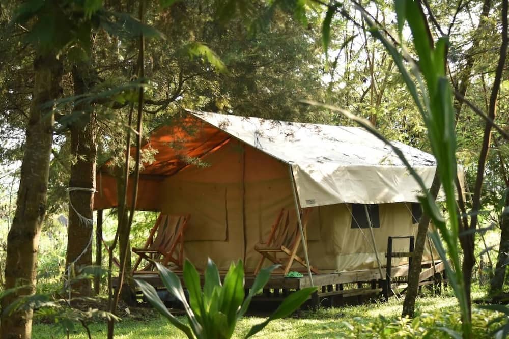 Room in B&B - Red Rocks Rwanda - Safari Tent Twin