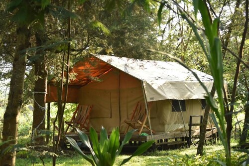 Room in B&B - Red Rocks Rwanda - Safari Tent Twin