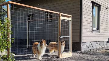A fenced area with two dogs standing inside, a wooden structure, and a building with a window.