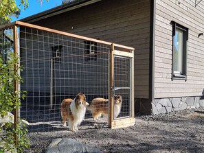 A fenced area with two dogs standing inside, a wooden structure, and a building with a window. - Käränkkä by Interhome (Lieksa)