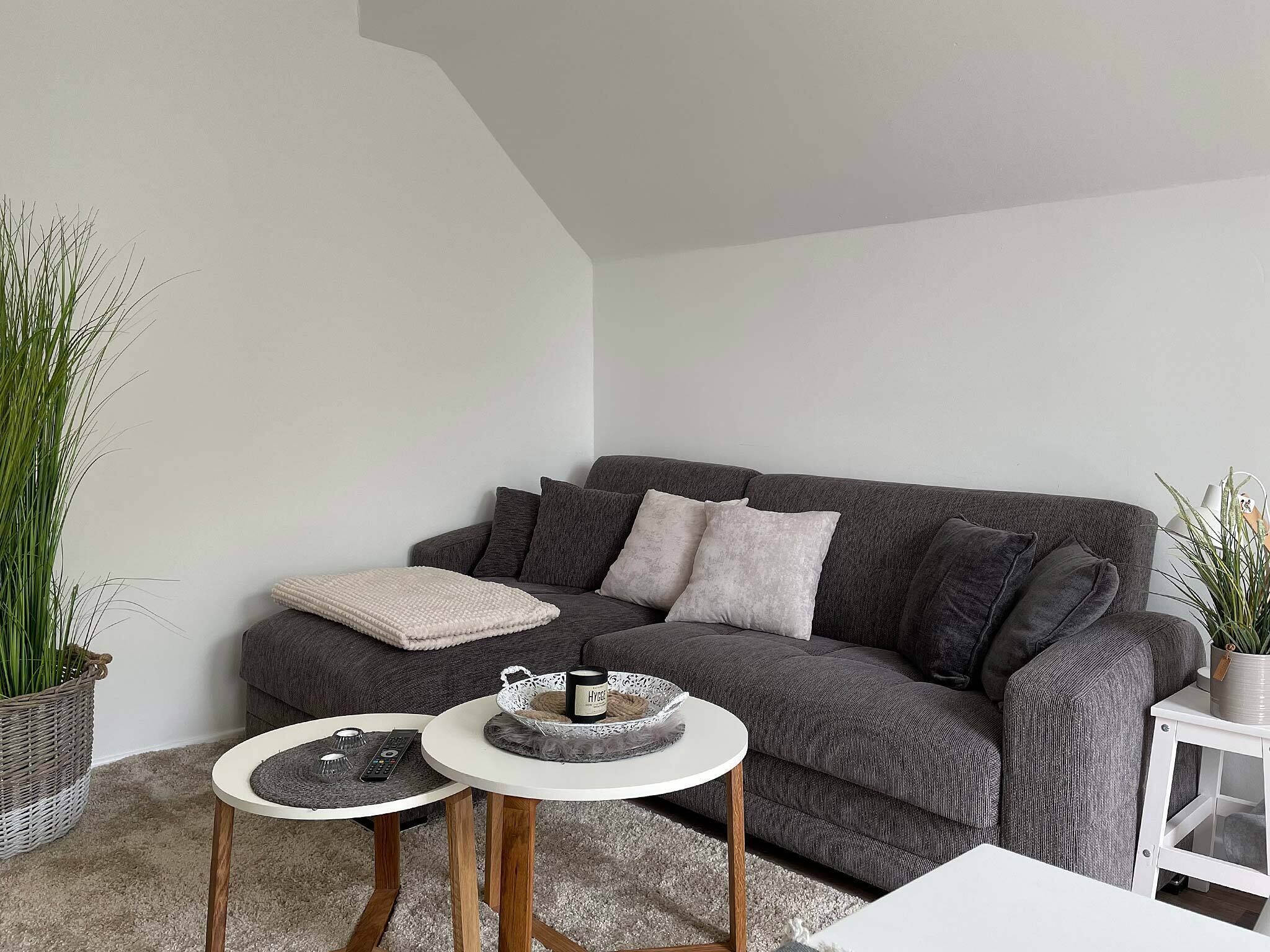 Een moderne woonkamer met een grijze bank, twee bijzettafeltjes, een witte salontafel en een potplant.