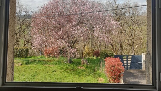 A window view of a garden with blooming trees and a clear sky. - Chambre avec cuisine équipée sur demande (Figeac)