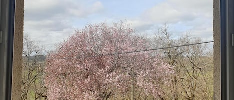 Room, Garden View | 1 bedroom, Select Comfort beds, individually furnished, desk