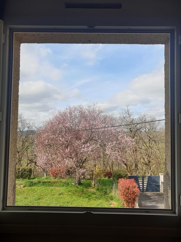 Kamar, pemandangan kebun | 1 kamar tidur dan tempat tidur Select Comfort