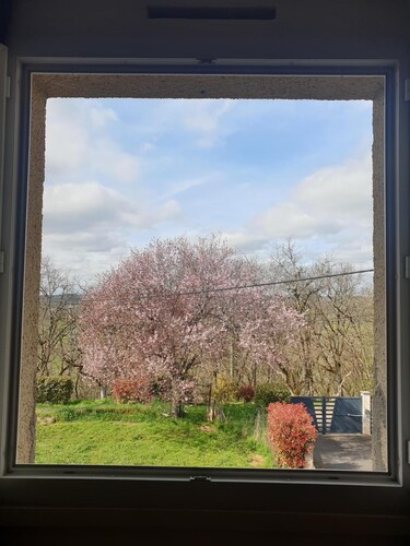 Chambre avec cuisine équipée sur demande