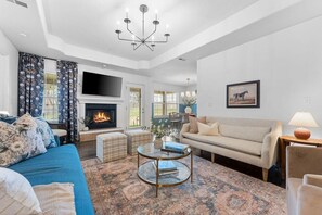 TV, fireplace, video games, books