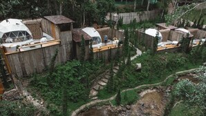 Una serie de cabañas con forma de cúpula y exteriores de madera, rodeadas de un bosque denso y un pequeño arroyo.