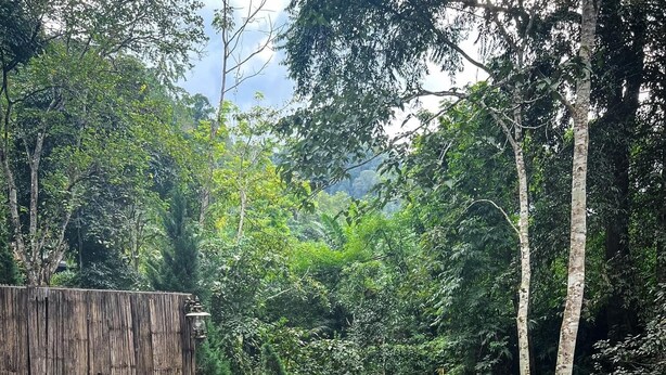 Una persona relajándose en una silla de mimbre junto a una terraza de madera con vistas a un jardín que incluye una valla de madera y una bañera blanca.