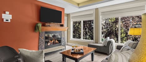 TV, fireplace, video games, DVD player