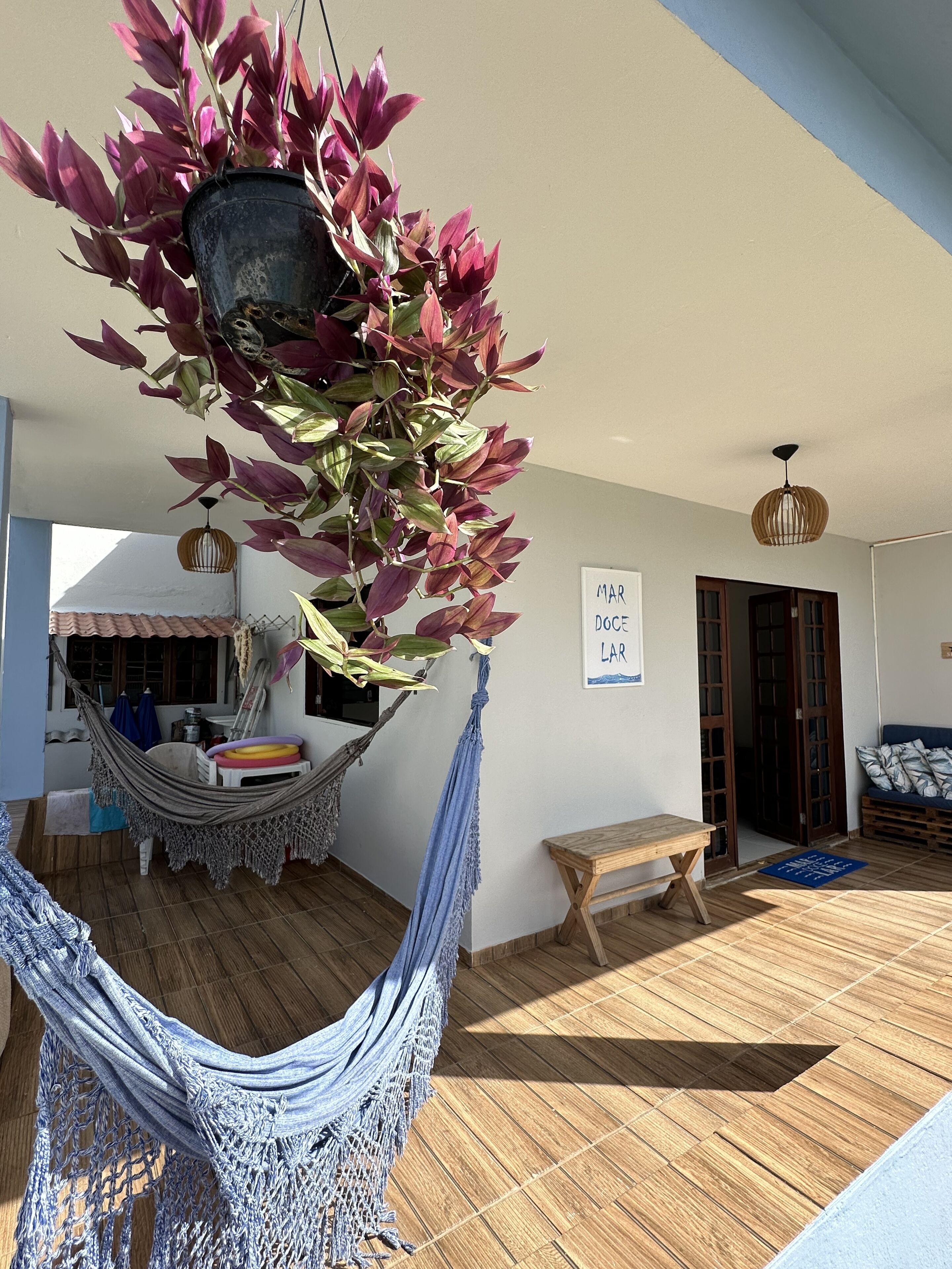 Una hamaca, suelo de madera, una planta colgante, un banco de madera y una puerta en una habitación.