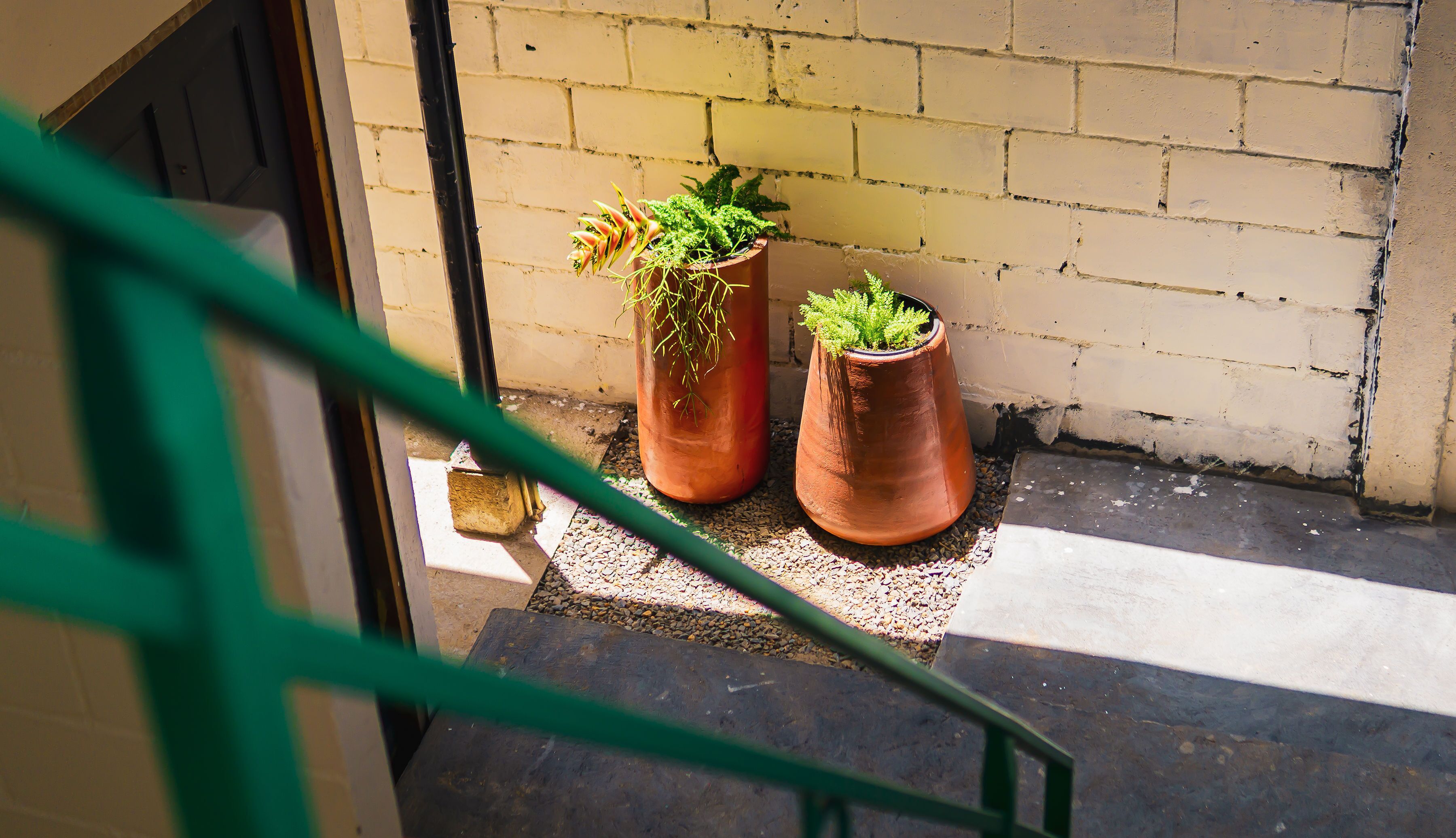 Two terracotta pots with plants on a balcony with a yellow brick wall in the background.