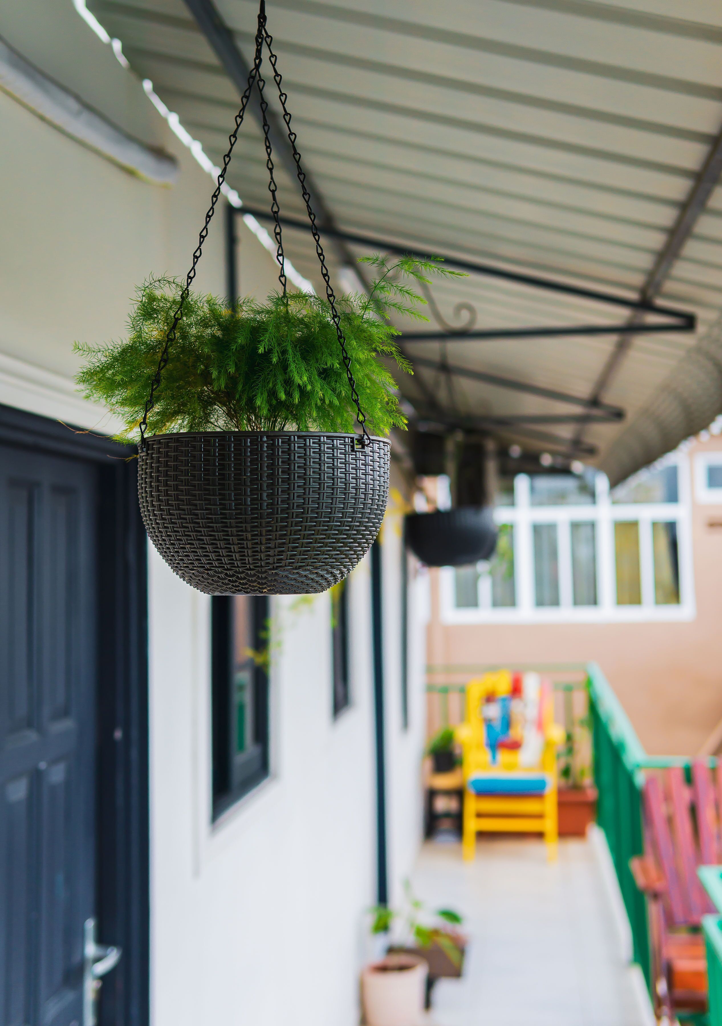 A hanging planter with greenery on a balcony.