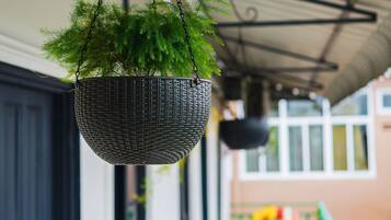 A hanging planter with greenery on a balcony.
