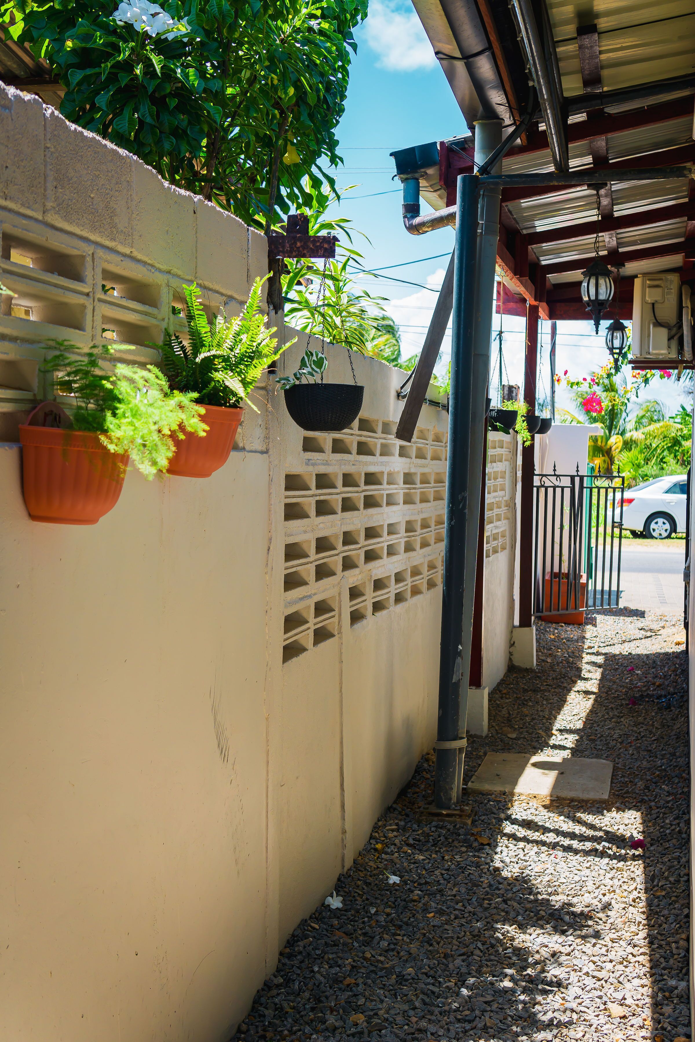 A narrow pathway leading to a gated entrance with potted plants on the wall.