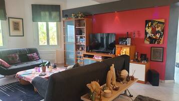 TV connectée, cheminée, livres