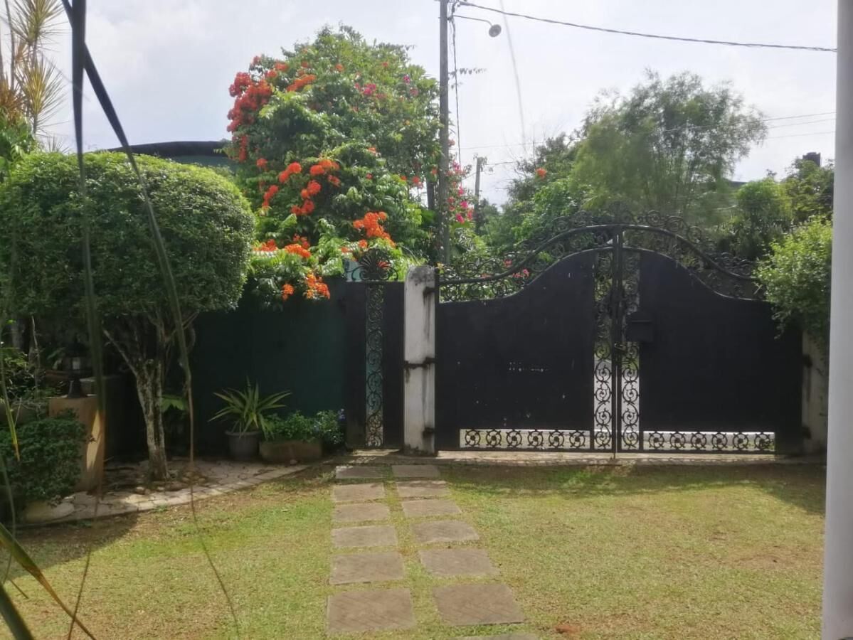 Ein Garten mit einem gepflasterten Weg, der zu einem verschlossenen Eingang führt.