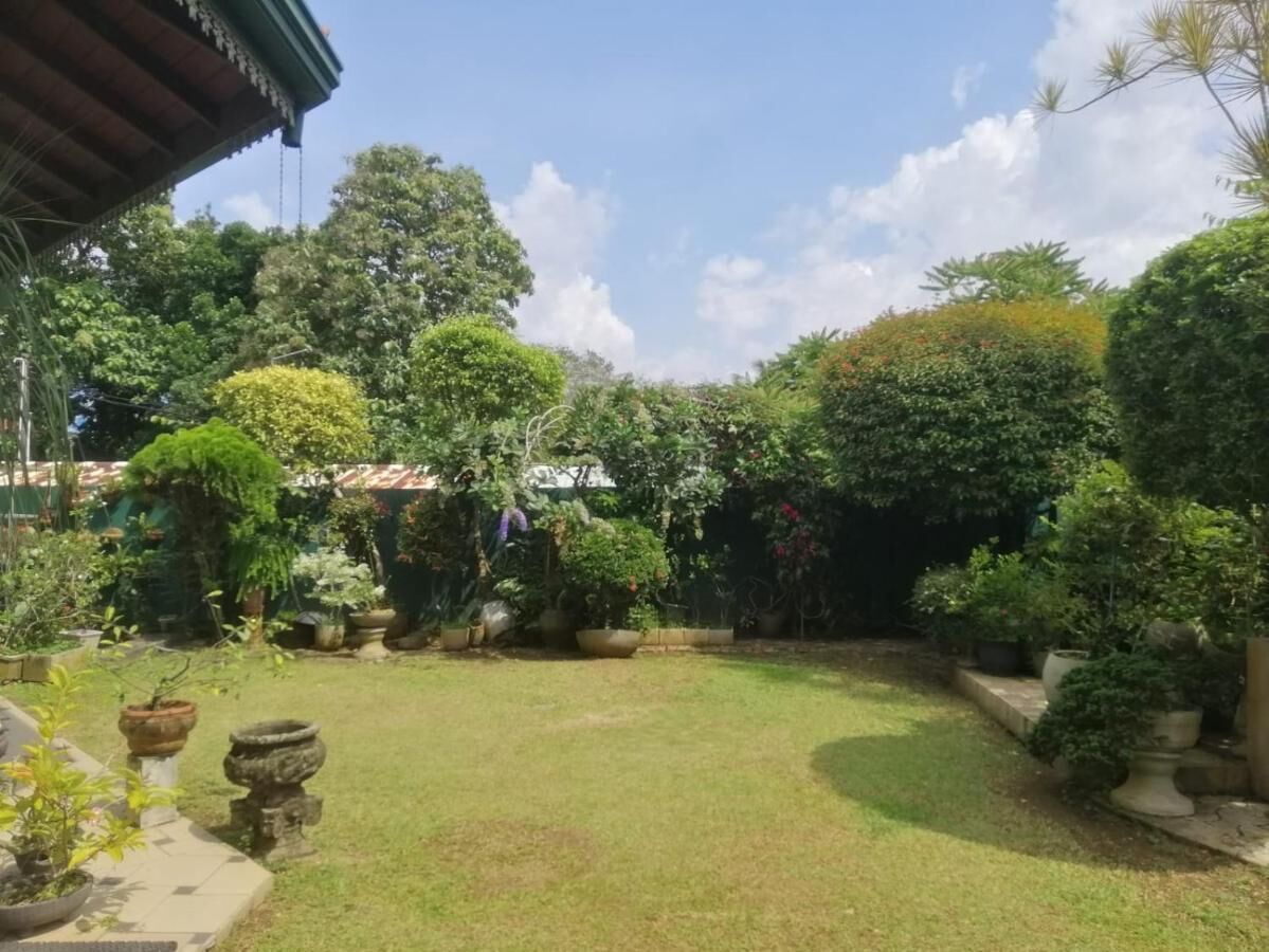 A well-maintained garden with various potted plants and a clear sky.
