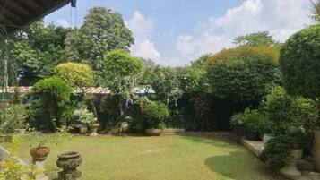A well-maintained garden with various potted plants and a clear sky.