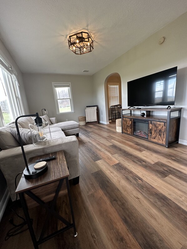 Smart TV, fireplace, books