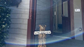 A building entrance with a wooden door, a sign reading "46C", and a bear statue labeled "Alpine River Bear". - Riverfront AlpineRiverBear, Sleeps10, Walk To Oktoberfest! 2 HotTubs, HomeCinema (Helen)