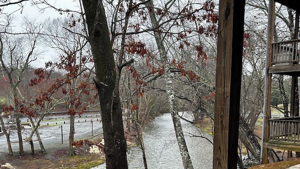 A wooden deck with a bench and a mug, overlooking a river with trees and a wooden railing. - Riverfront AlpineRiverBear, Sleeps10, Walk To Oktoberfest! 2 HotTubs, HomeCinema (Helen)