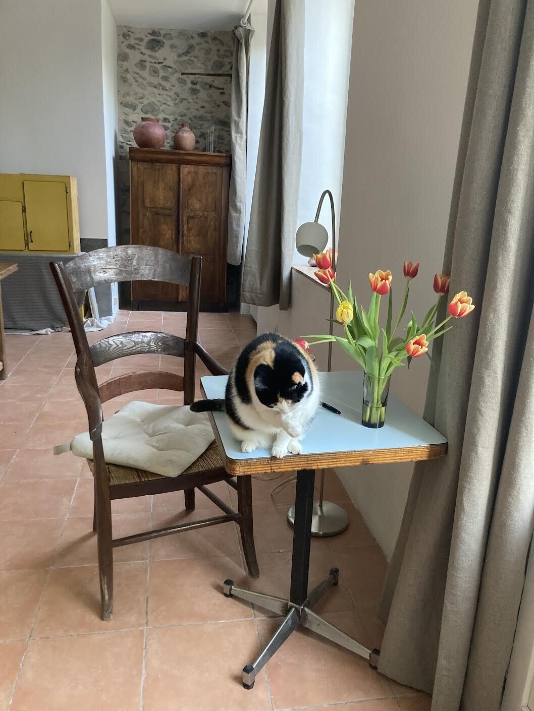 Un chat est assis sur une chaise, avec une table à côté, un vase rempli de fleurs et un meuble en bois en arrière-plan.