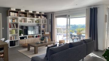 Télévision, lecteur de DVD, livres, chaßne hi-fi