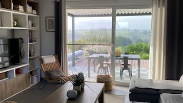 Televisie, een dvd-speler, boeken en een stereo