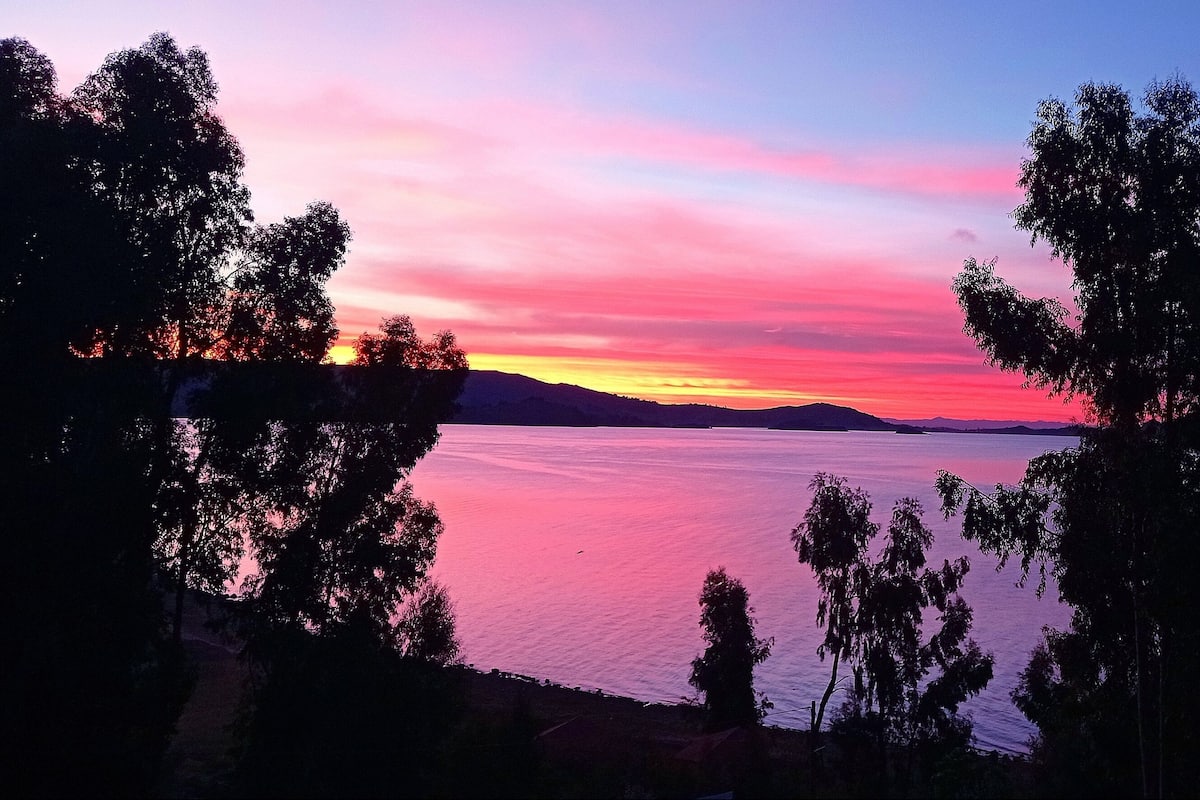 Une vue paisible sur le lac, avec des arbres qui encadrent le paysage.
