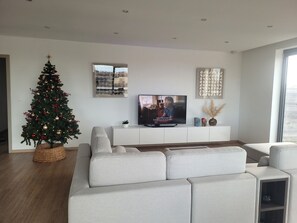 Smart TV, videogames, DVD player, videoteca