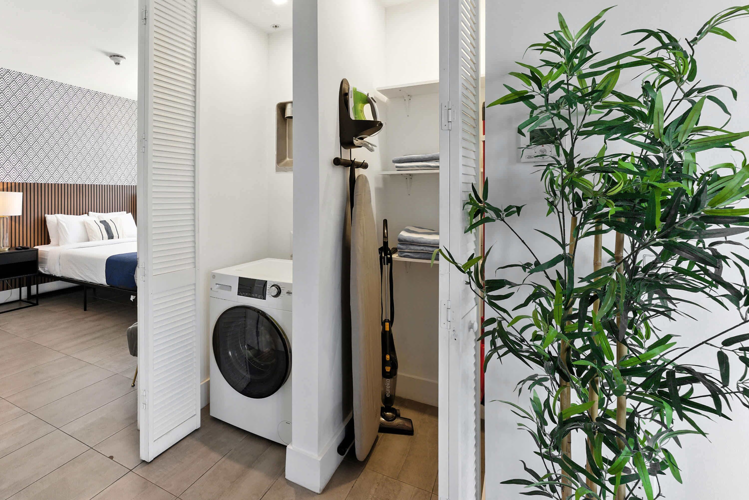A modern hotel room with a neatly organized laundry area, a bed with a blue accent, and a large green plant.