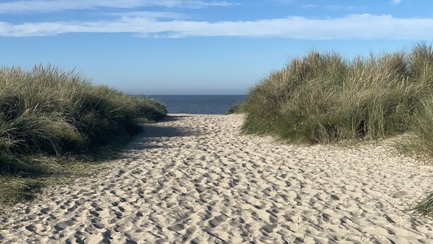Een zandpad langs het strand, aan beide kanten omzoomd door gras, leidt naar de zee onder een heldere lucht.
